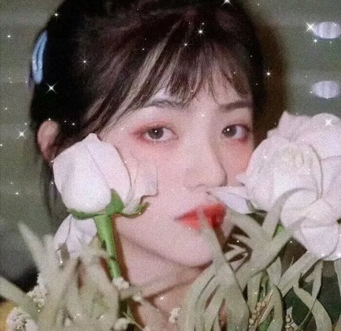 沙漠中的玫瑰